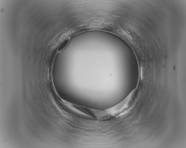 X0000058110205200510171253