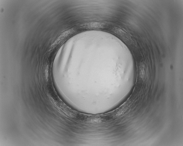 X0000058110206200510171253
