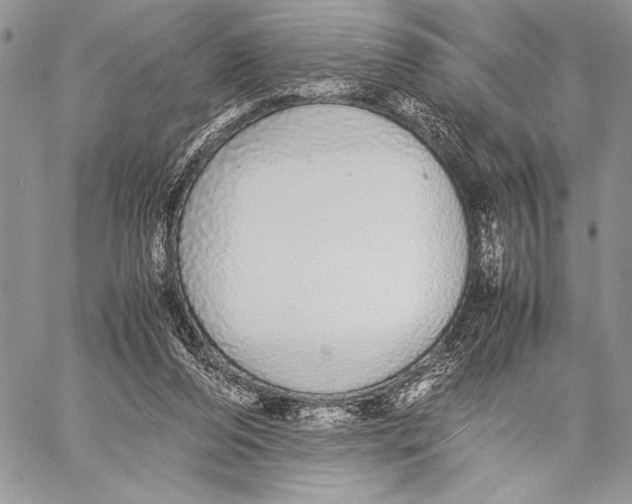 X0000058110208200510171253