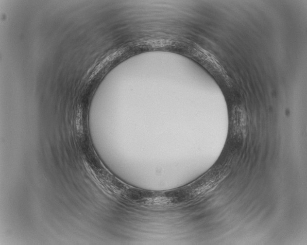 X0000058110212200510171253