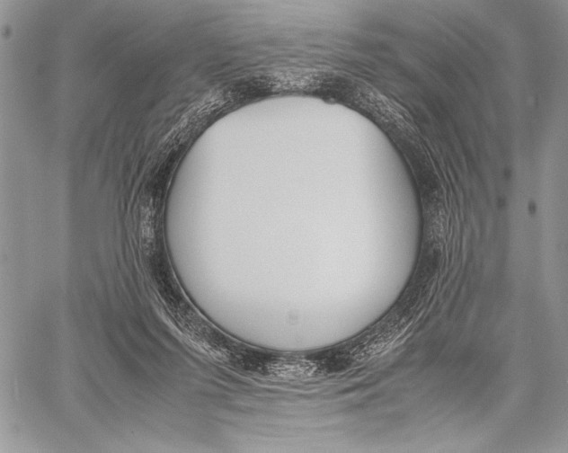 X0000058110215200510171253