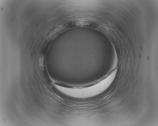 X0000058110219200510171253