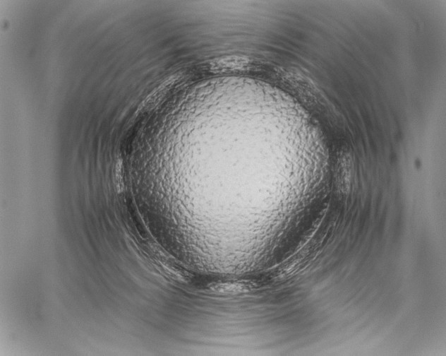 X0000058110224200510171253