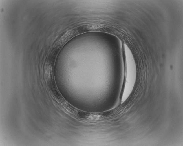 X0000058110227200510171253