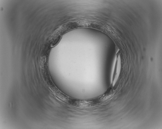 X0000058110229200510171252