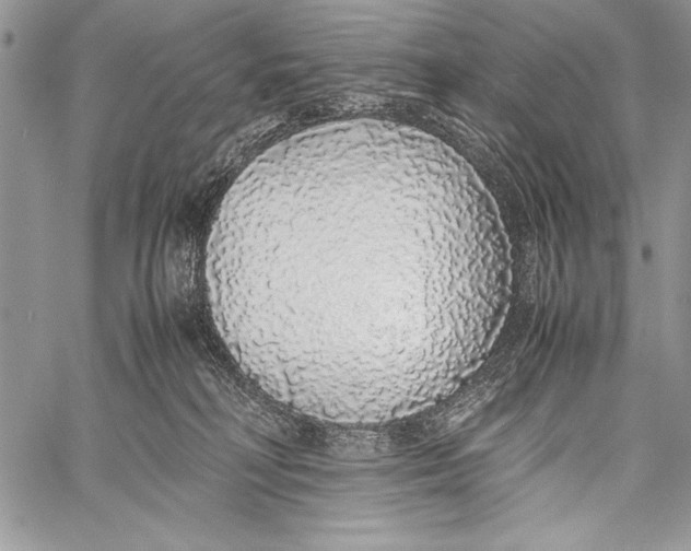 X0000058110230200510171252