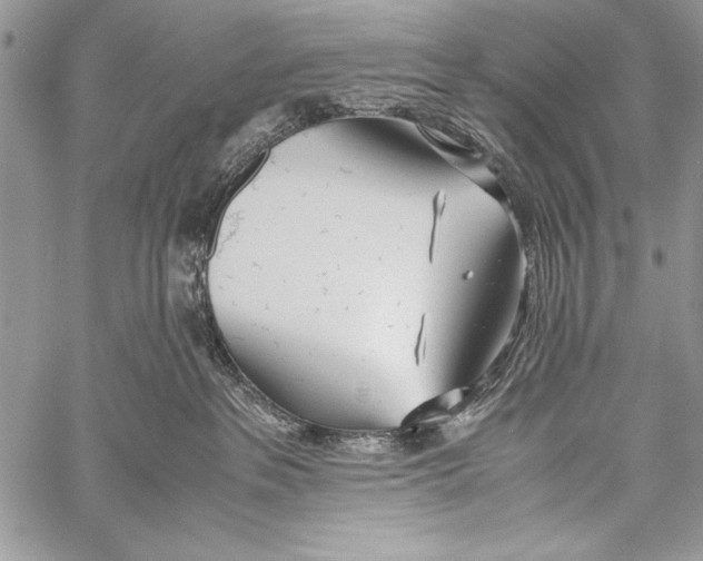 X0000058110237200510171252