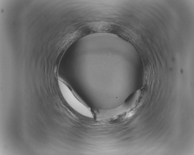 X0000058110239200510171252
