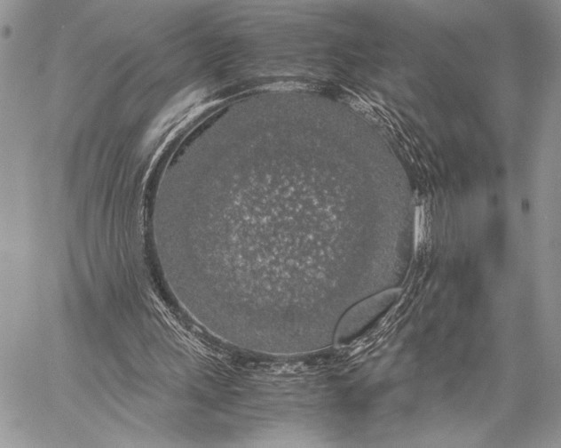 X0000058110243200510171252