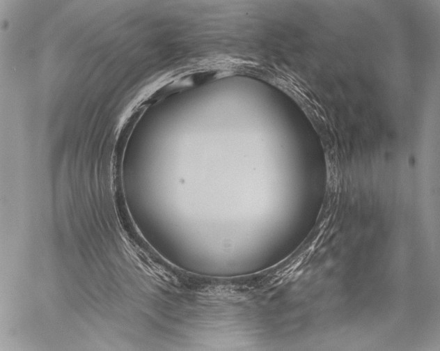 X0000058110244200510171252