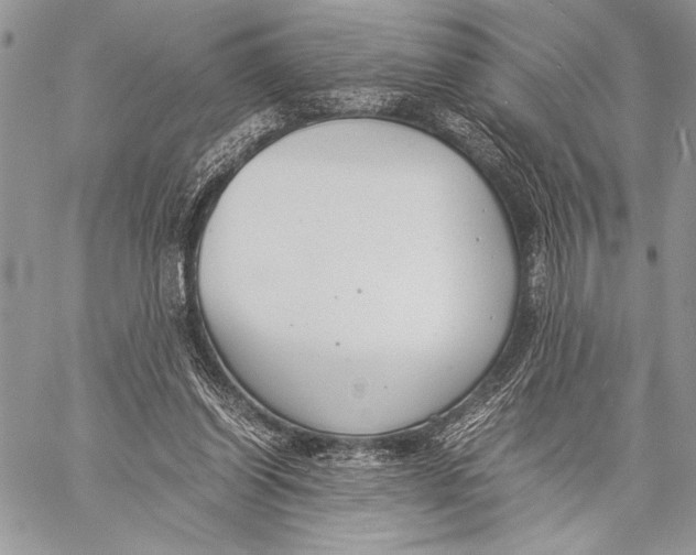 X0000058110254200510171252