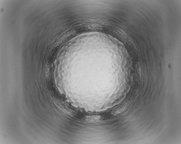 X0000058110266200510171252