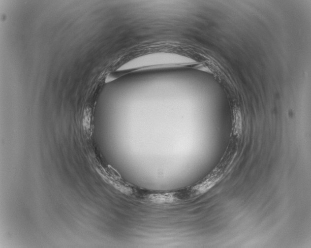 X0000058110284200510171252