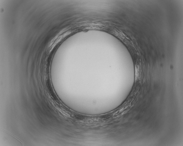 X0000058110291200510171251