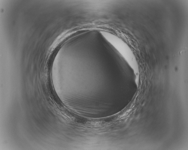 X0000058110295200510171251