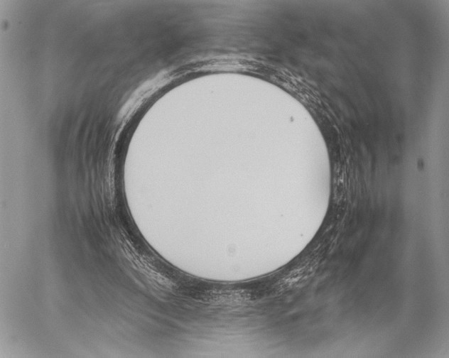 X0000058110296200510171251