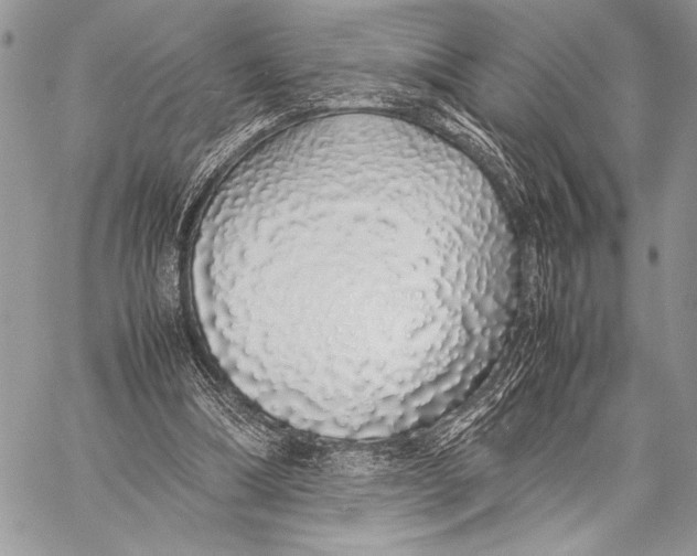 X0000058110298200510171251