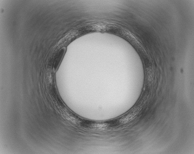 X0000058110313200510171251