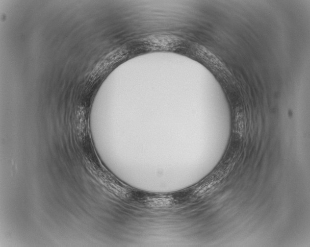 X0000058110318200510171251