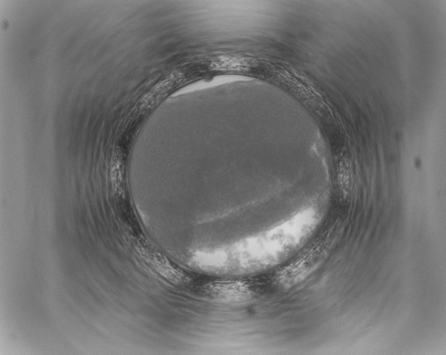 X0000058110322200510171251