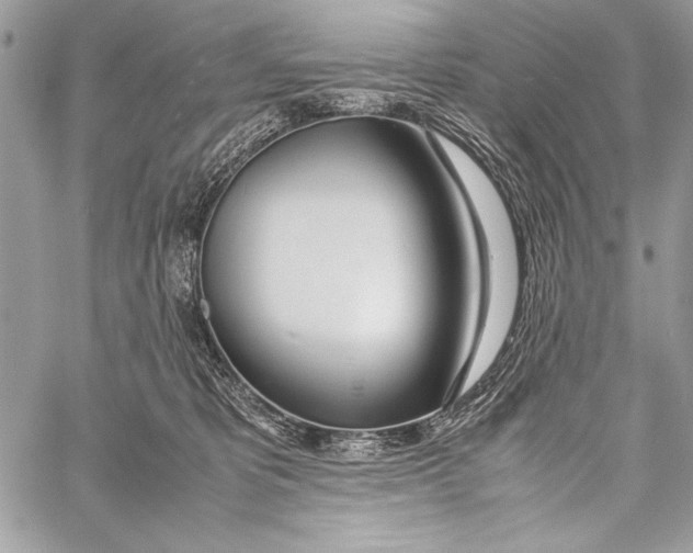 X0000058110325200510171251