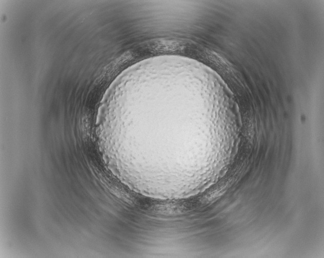 X0000058110326200510171251
