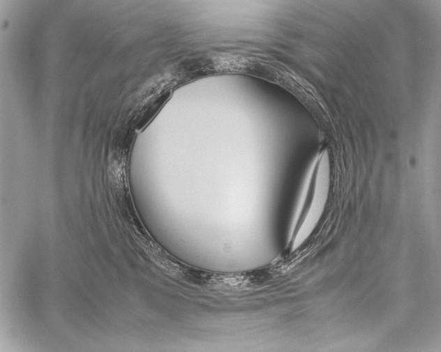 X0000058110329200510171251