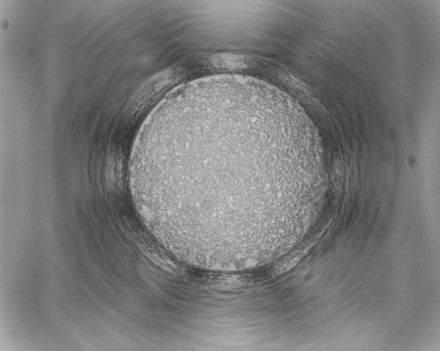 X0000058110330200510171251