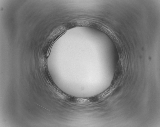 X0000058110333200510171251