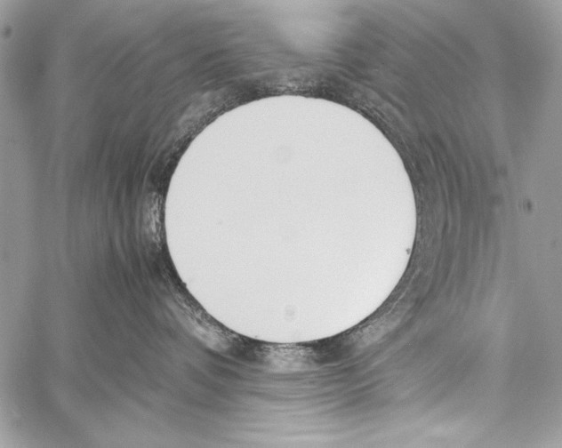 X0000058110336200510171251