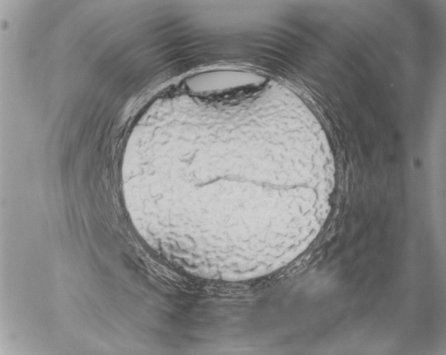 X0000058110337200510171250