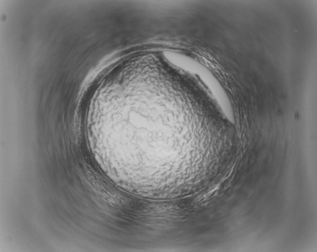 X0000058110343200510171250
