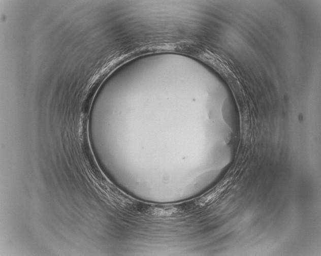 X0000058110346200510171250