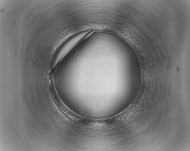 X0000058110352200510171250
