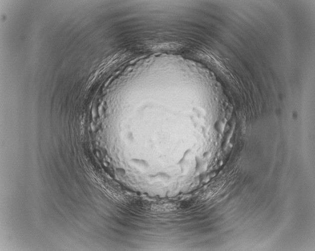 X0000058110357200510171250