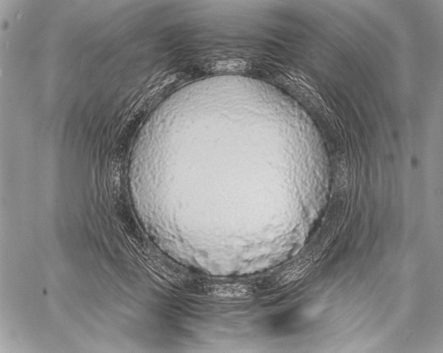 X0000058110363200510171250