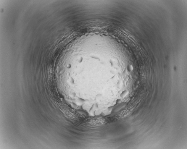 X0000058110369200510171250