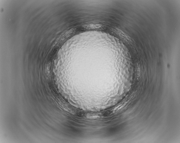 X0000058110373200510171250