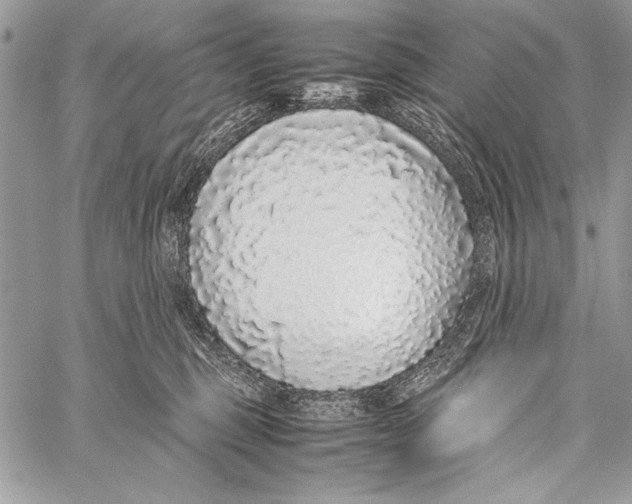 X0000058110375200510171250