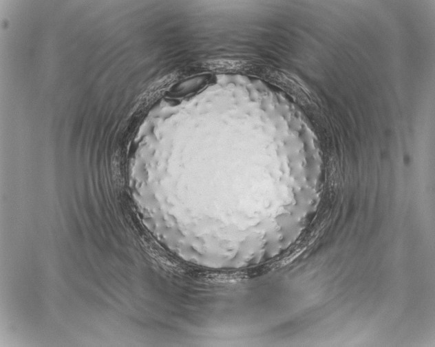 X0000058110377200510171250