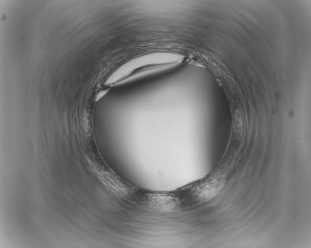 X0000058110380200510171250