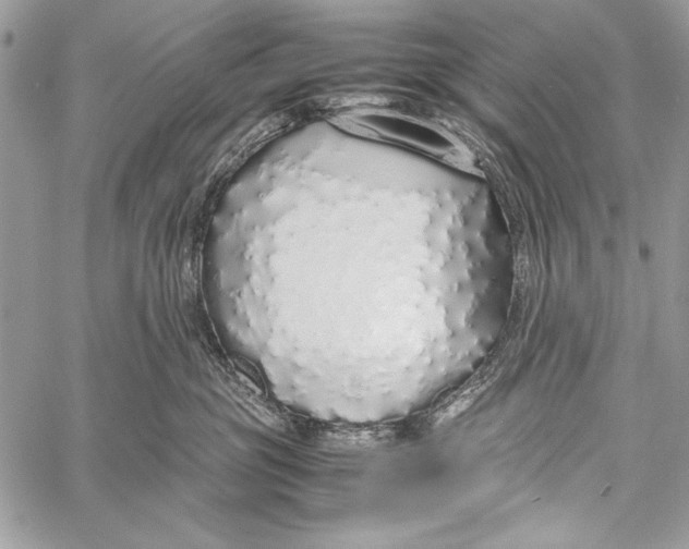 X0000058110381200510171251