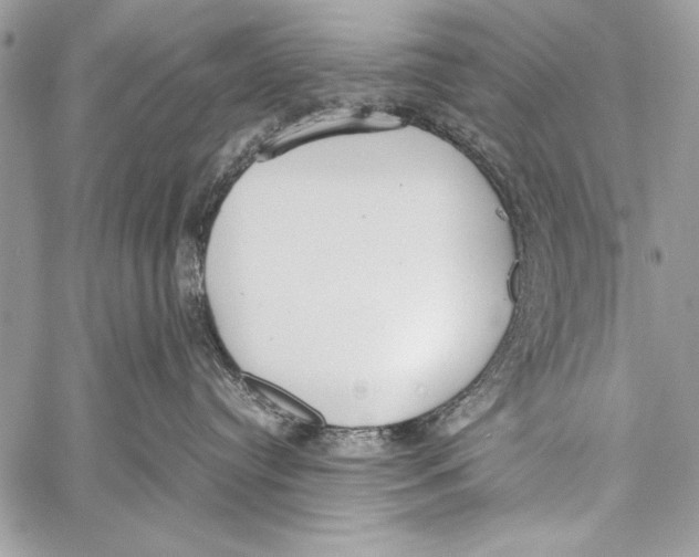 X0000058110384200510171251