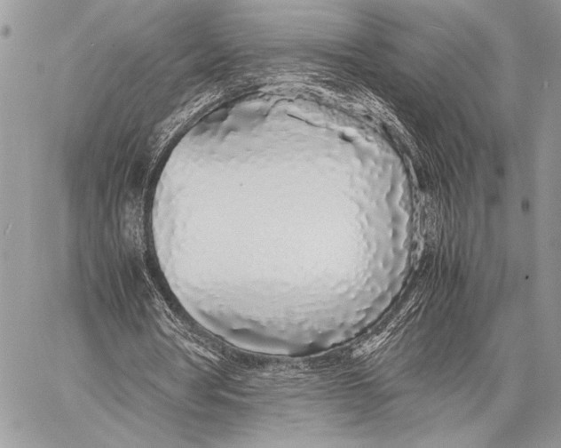 X0000058110386200510171250