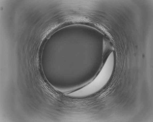 X0000058110391200510171250