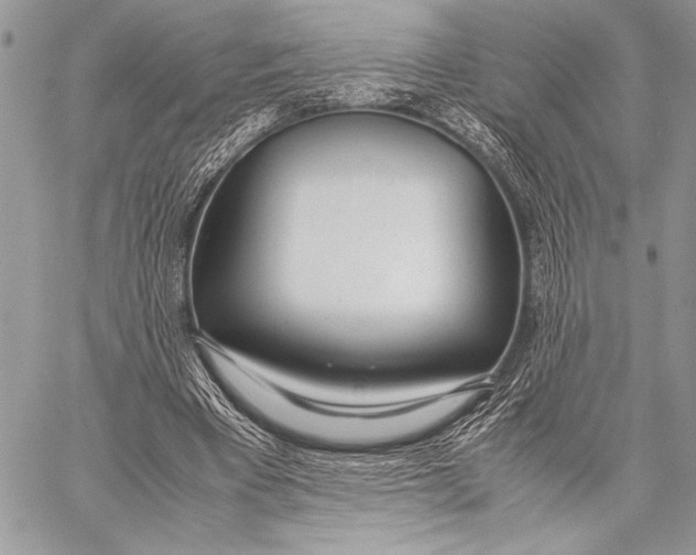 X0000058110393200510171250