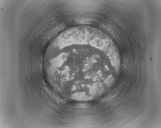 X0000058110402200510171249