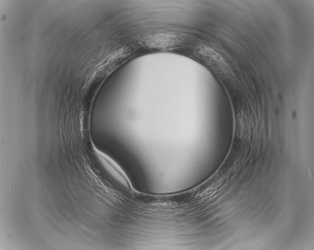 X0000058110404200510171249