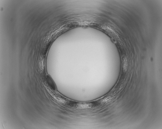 X0000058110405200510171249