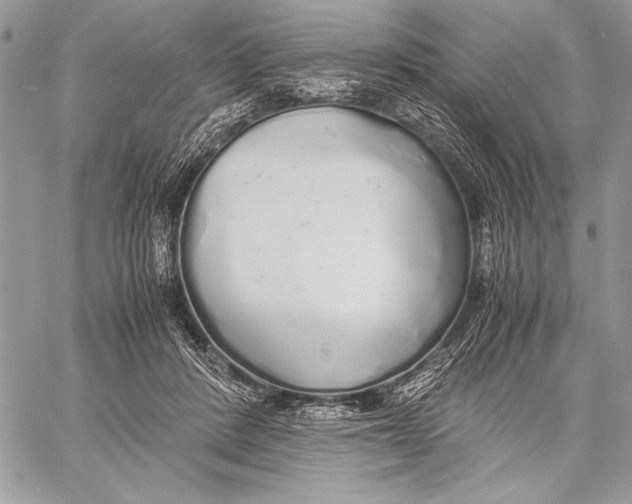 X0000058110408200510171249